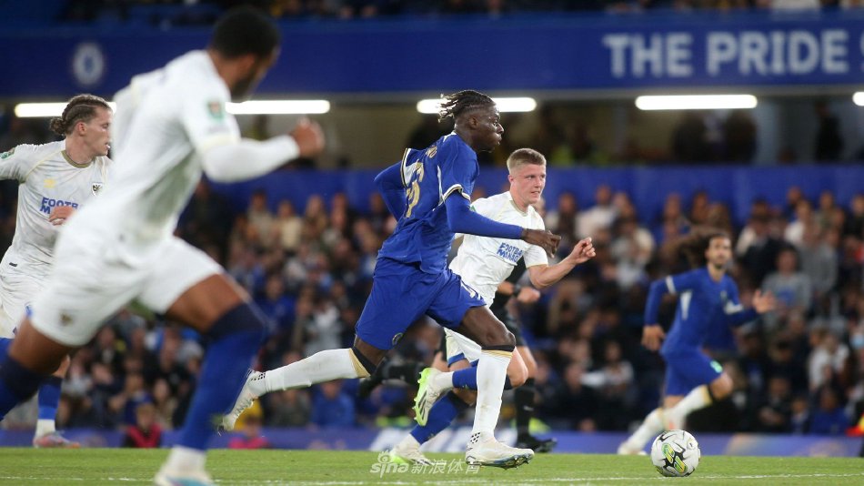 明星的事业 明星的事业